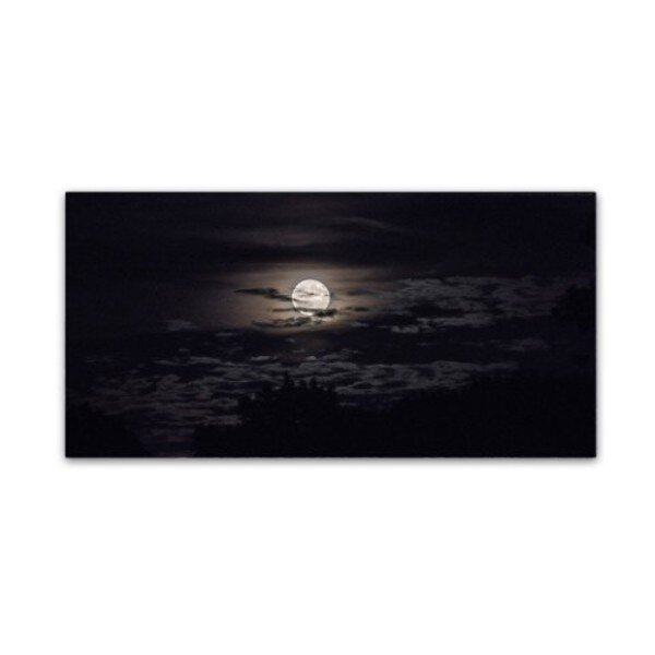 Kurt Shaffer 'Full Moon in Aquarius' Canvas Art, 12x24, Trademark Fine Art, Mfr#: KS01314-C1224GG